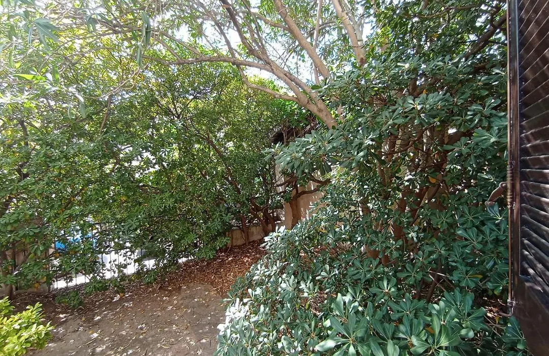 Domus Garden-1